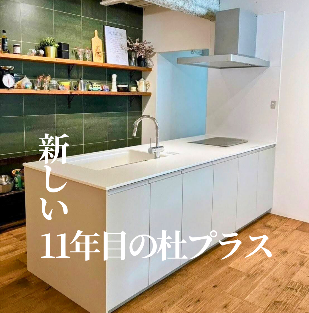 Panasonic KITCHEN S-CLASS
